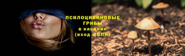 дмт Алексеевка