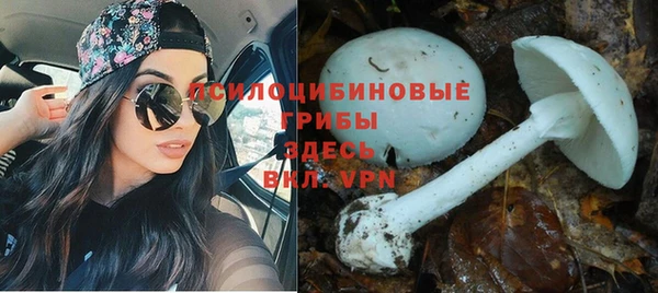 дмт Алексеевка