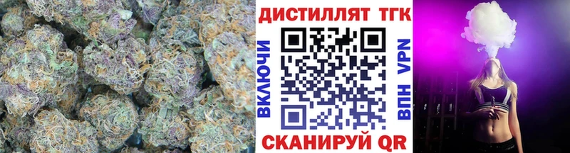 мега ONION  маркетплейс как зайти  ТГК гашишное масло  Новозыбков 