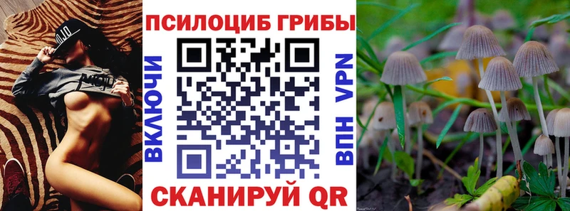 Галлюциногенные грибы MAGIC MUSHROOMS Новозыбков