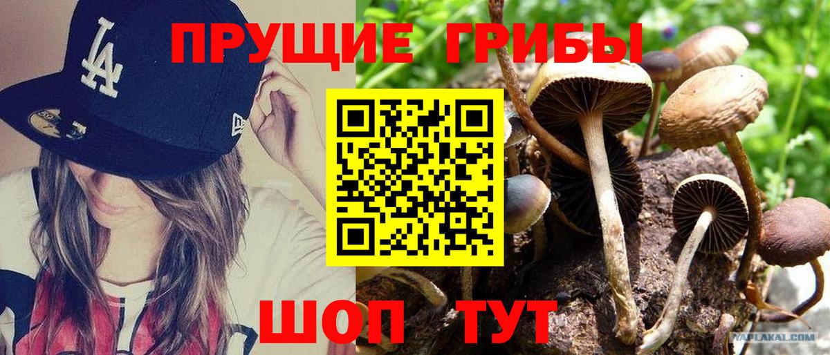 Галлюциногенные грибы MAGIC MUSHROOMS Новозыбков