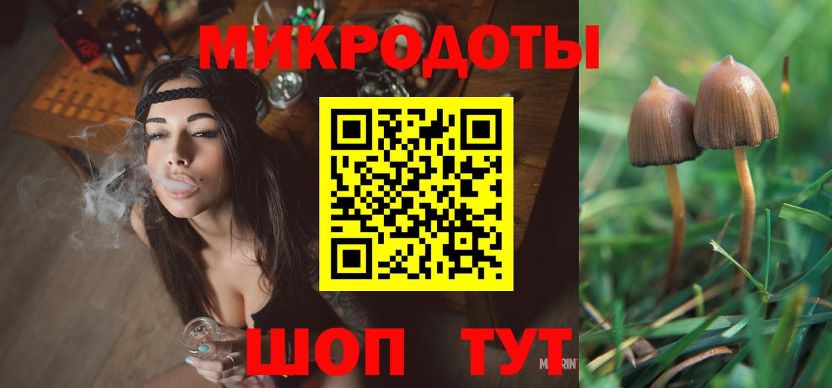 Новозыбков  Галлюциногенные грибы Magic Shrooms  Вход с VPN 