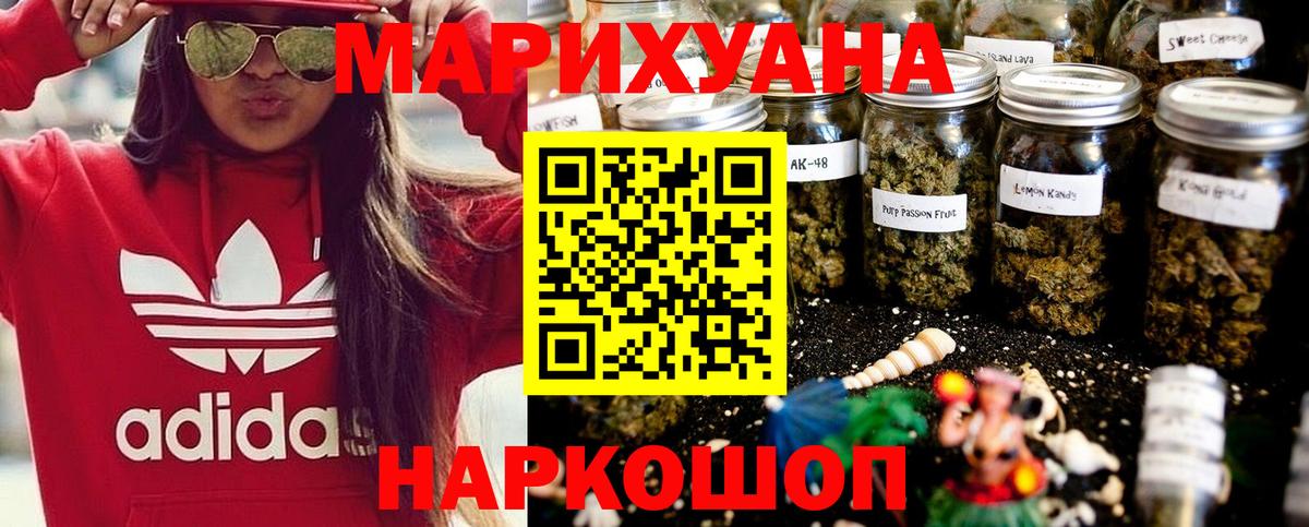 Канабис марихуана  Канабис план  Новозыбков  Каннабис сатива  Вход с VPN 