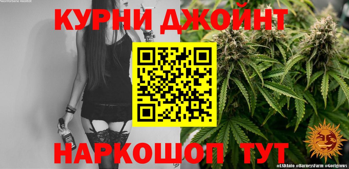 Каннабис OG Kush Новозыбков